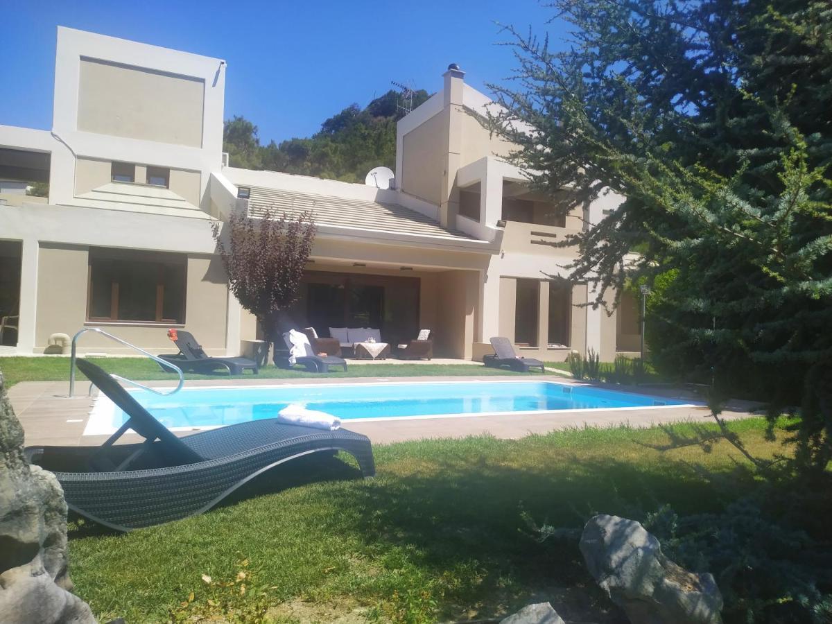 Delta Wellness Villa